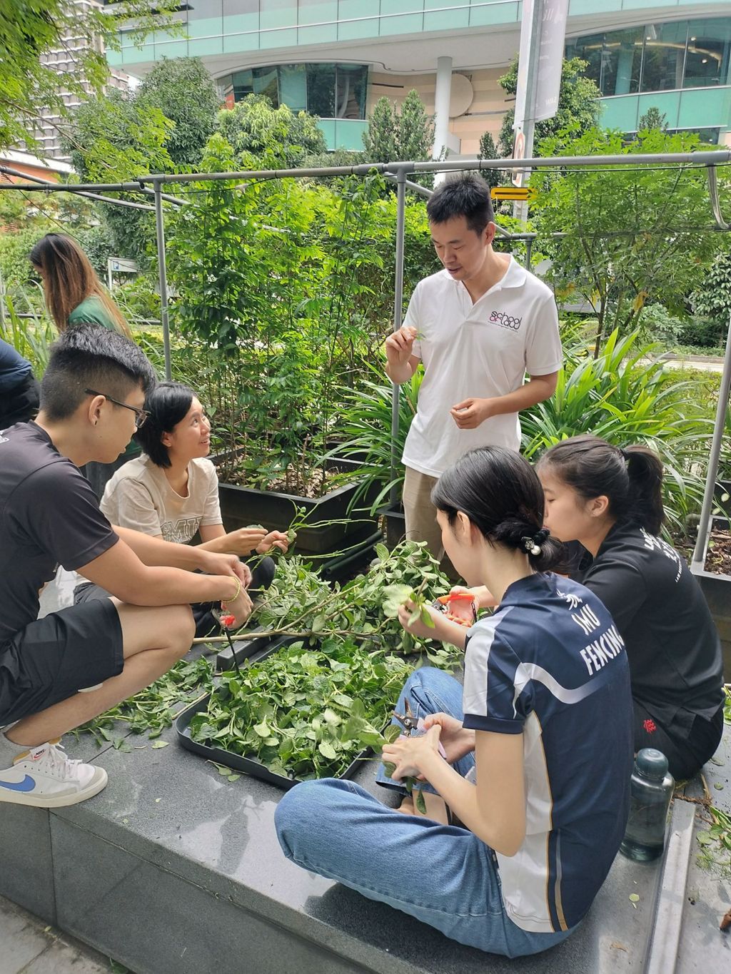 Miniature of SMU undergraduates build sustainability competencies through urban farming in sustainability law elective course