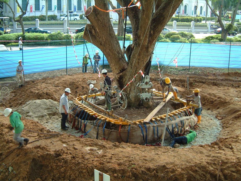 Miniature of Preserving Trees at City Campus