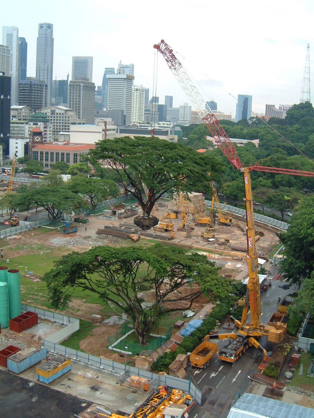 Miniature of Preserving Trees at City Campus